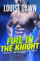 book cover for Fire in the Knight