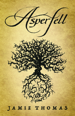 book cover for Asperfell