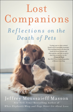 book cover for Lost Companions