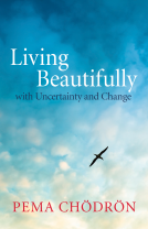 book cover for Living Beautifully