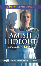 book cover for Amish Hideout