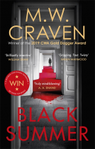 book cover for Black Summer