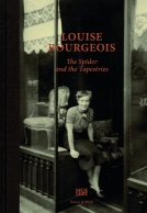 Buchcover für The Spider and the Tapestries
