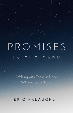 book cover for Promises in the Dark