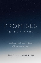 book cover for Promises in the Dark