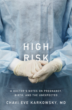 book cover for High Risk