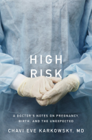book cover for High Risk