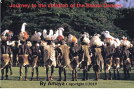 book cover for Journey to Children of Bwola Dances