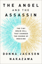 book cover for The Angel and the Assassin