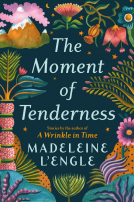 book cover for The Moment of Tenderness