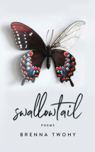 book cover for Swallowtail