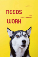 book cover for Needs Work