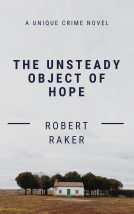 book cover for The Unsteady Object of Hope