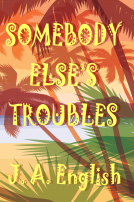 book cover for Somebody Else's Troubles