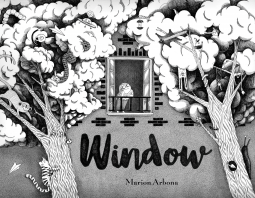 book cover for Window