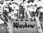 Cover Image: Window
