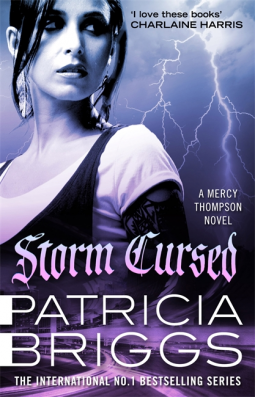 book cover for Storm Cursed