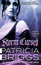 book cover for Storm Cursed