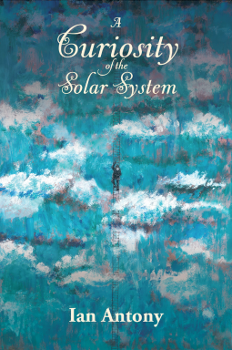 book cover for A Curiosity of the Solar System