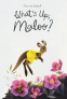 Cover Image: What's Up, Maloo?