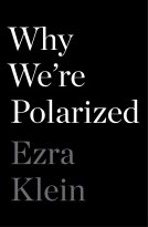 book cover for Why We're Polarized