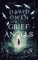 book cover for Grief Angels