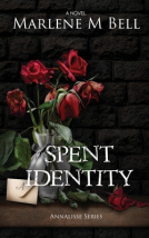 book cover for Spent Identity