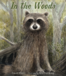 book cover for In the Woods