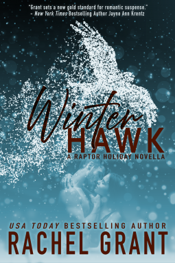 book cover for Winter Hawk