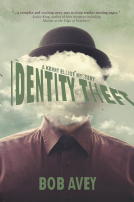 book cover for Identity Theft