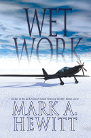 book cover for Wet Work