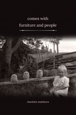 book cover for Comes with Furniture and People