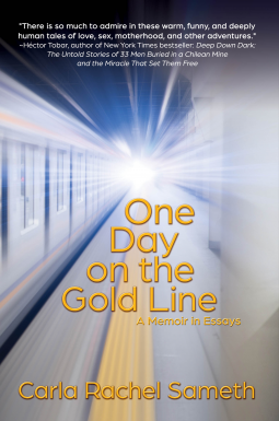 book cover for One Day on the Gold Line