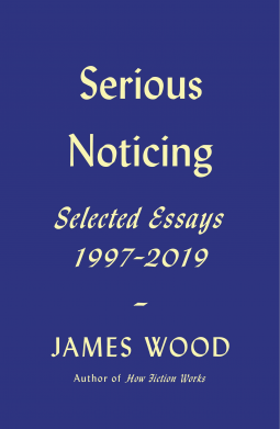book cover for Serious Noticing