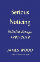book cover for Serious Noticing