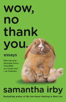 book cover for Wow, No Thank You.