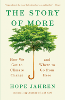 book cover for The Story of More