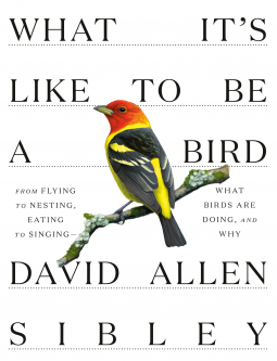 book cover for What It's Like to Be a Bird