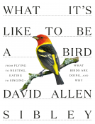 book cover for What It's Like to Be a Bird
