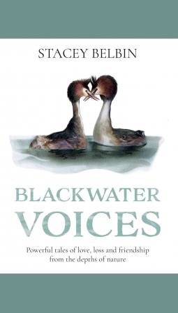 book cover for Blackwater Voices