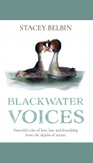 book cover for Blackwater Voices