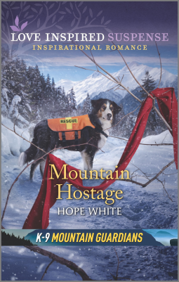 book cover for Mountain Hostage