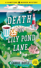 book cover for Death on Lily Pond Lane