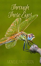 book cover for Through These Eyes