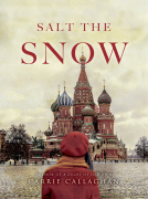 book cover for Salt the Snow