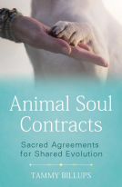 book cover for Animal Soul Contracts