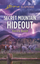 book cover for Secret Mountain Hideout