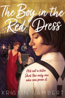 book cover for The Boy in the Red Dress