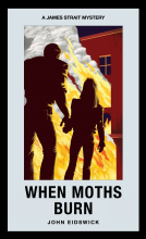 book cover for When Moths Burn