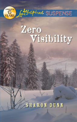 book cover for Zero Visibility
